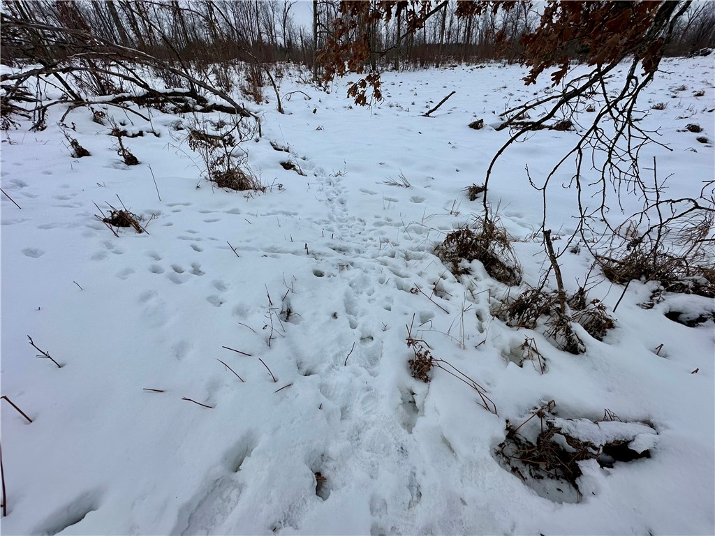 1581 50th Street Turtle Lake WI 54889 1597887 image27