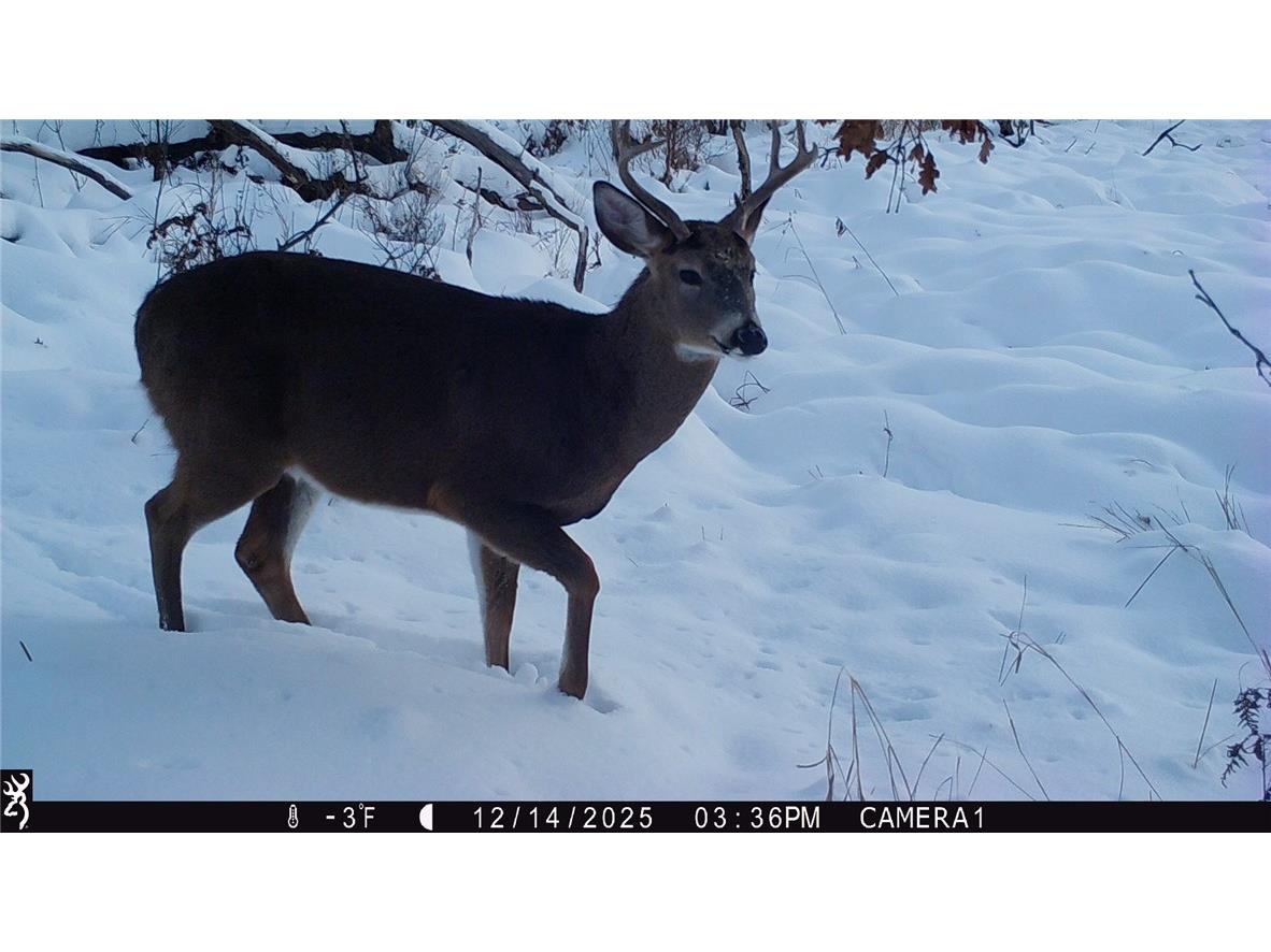 1581 50th Street Turtle Lake WI 54889 1597887 image28