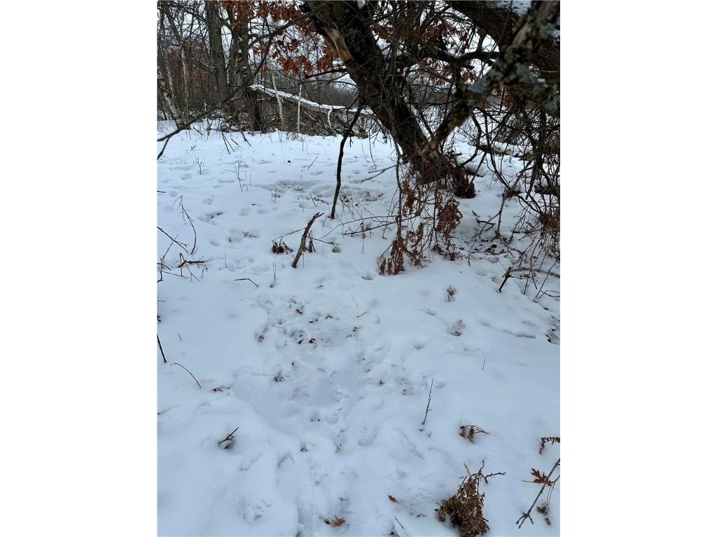 1581 50th Street Turtle Lake WI 54889 1597887 image29