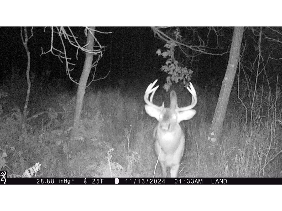 1581 50th Street Turtle Lake WI 54889 1597887 image30