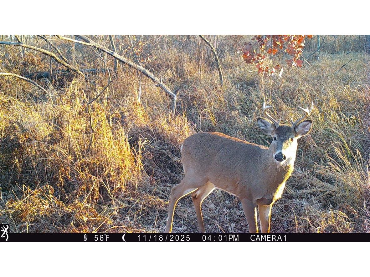 1581 50th Street Turtle Lake WI 54889 1597887 image32