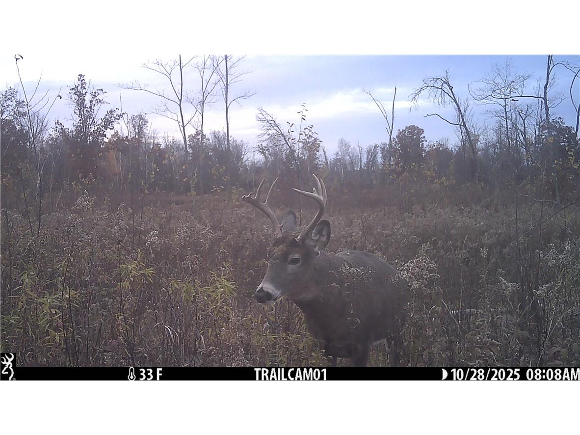 1581 50th Street Turtle Lake WI 54889 1597887 image33