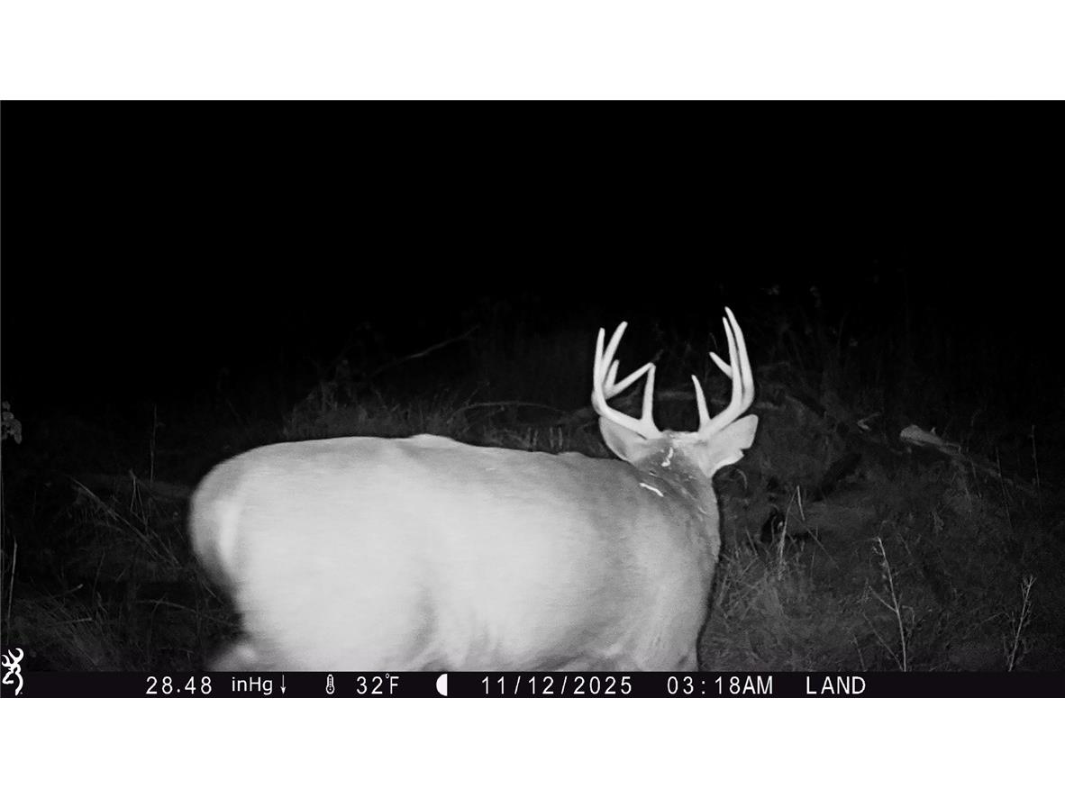 1581 50th Street Turtle Lake WI 54889 1597887 image34