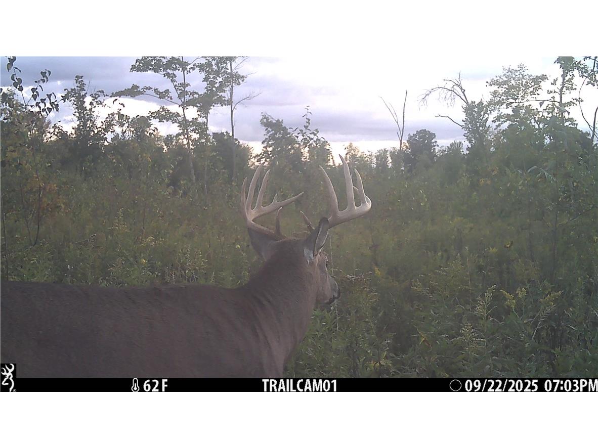 1581 50th Street Turtle Lake WI 54889 1597887 image35