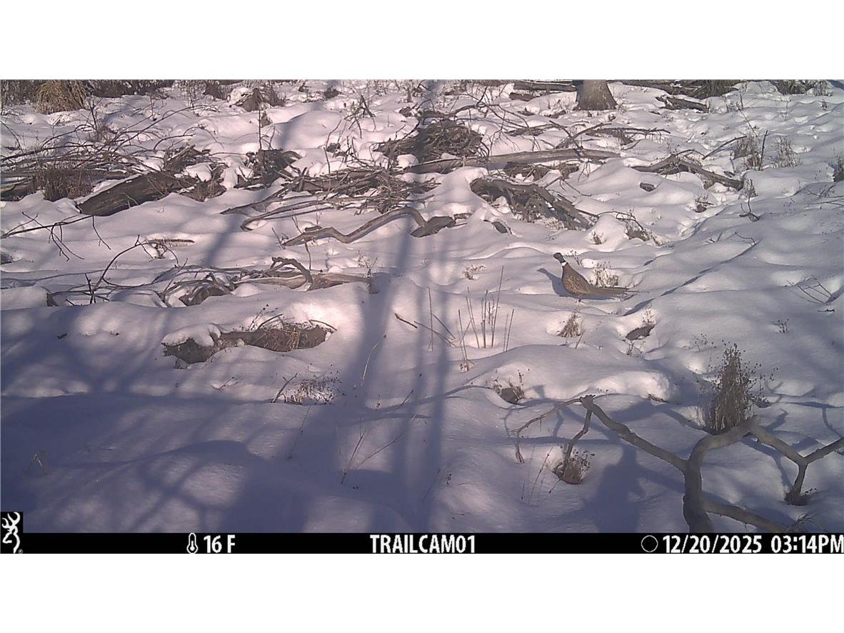 1581 50th Street Turtle Lake WI 54889 1597887 image36