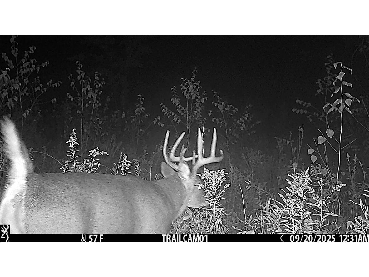 1581 50th Street Turtle Lake WI 54889 1597887 image37