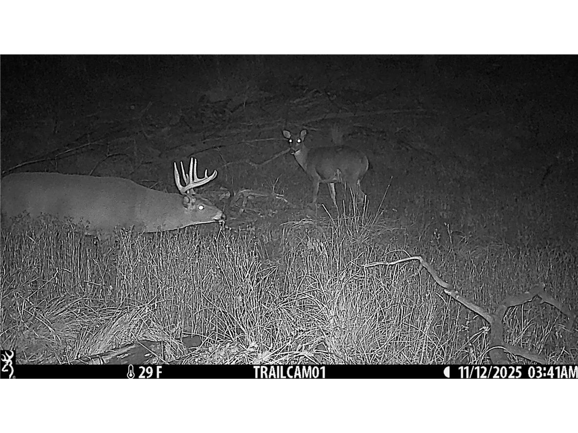 1581 50th Street Turtle Lake WI 54889 1597887 image38