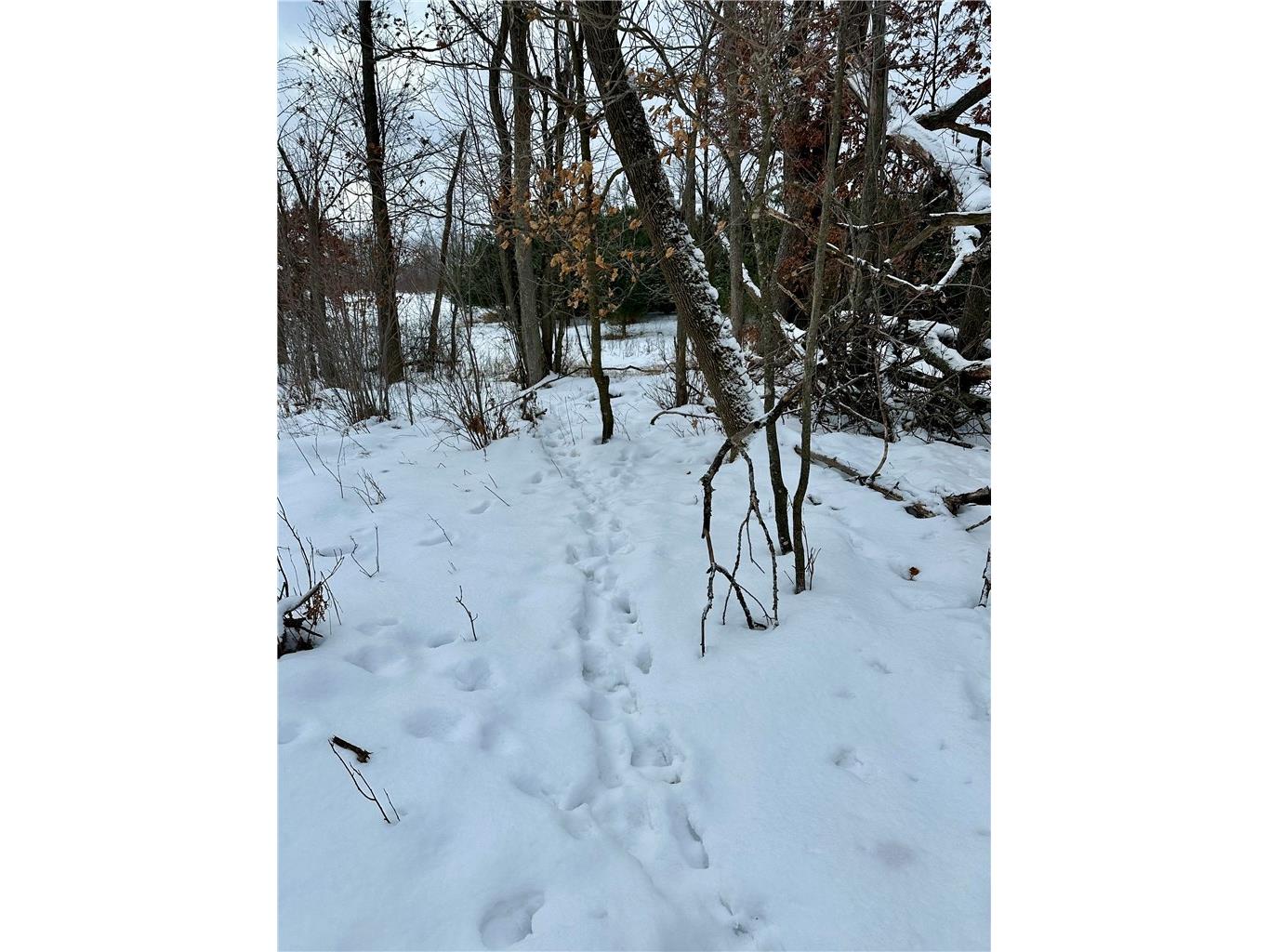 1581 50th Street Turtle Lake WI 54889 1597887 image39
