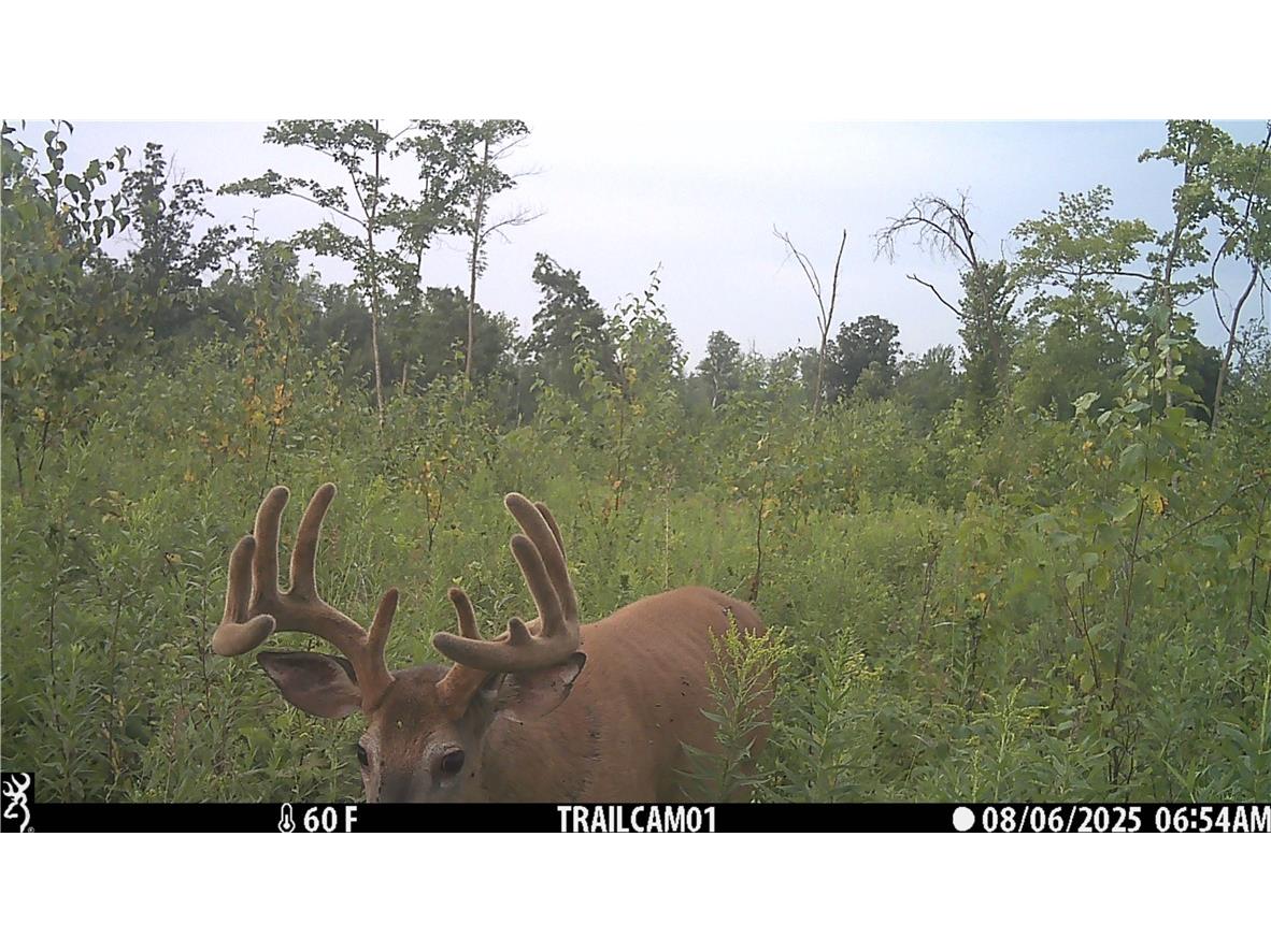 1581 50th Street Turtle Lake WI 54889 1597887 image4