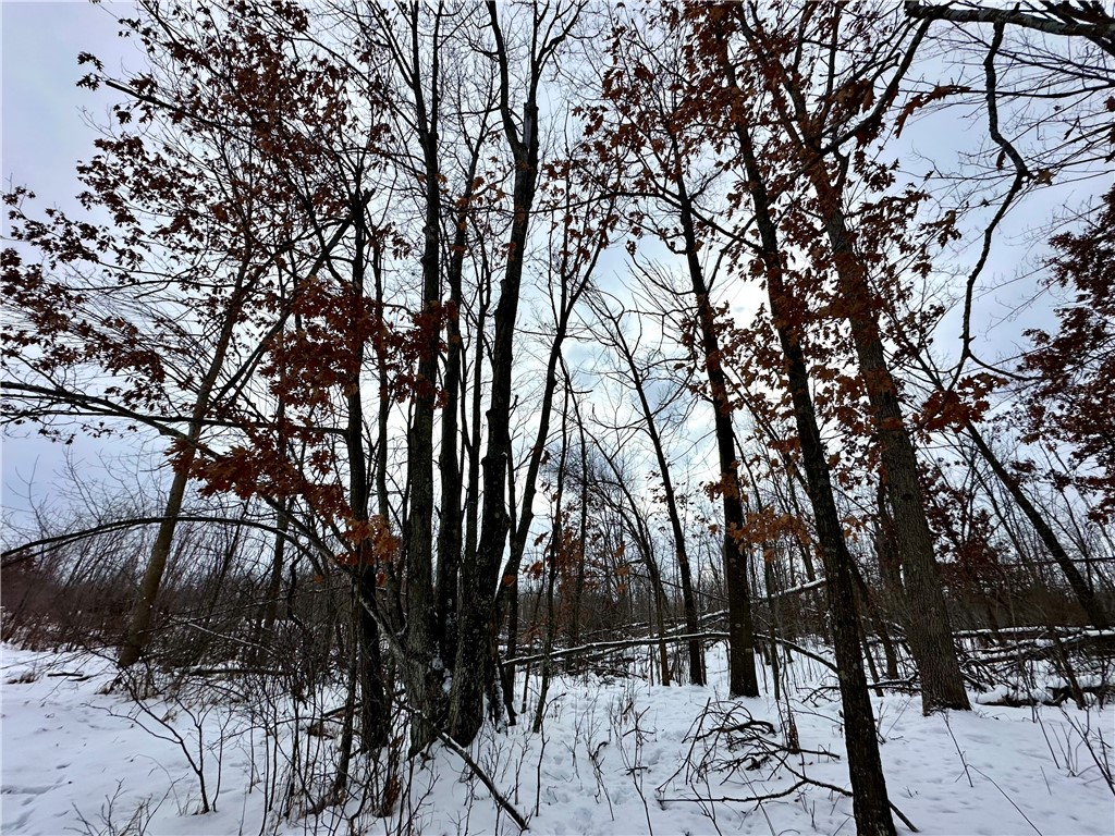 1581 50th Street Turtle Lake WI 54889 1597887 image5