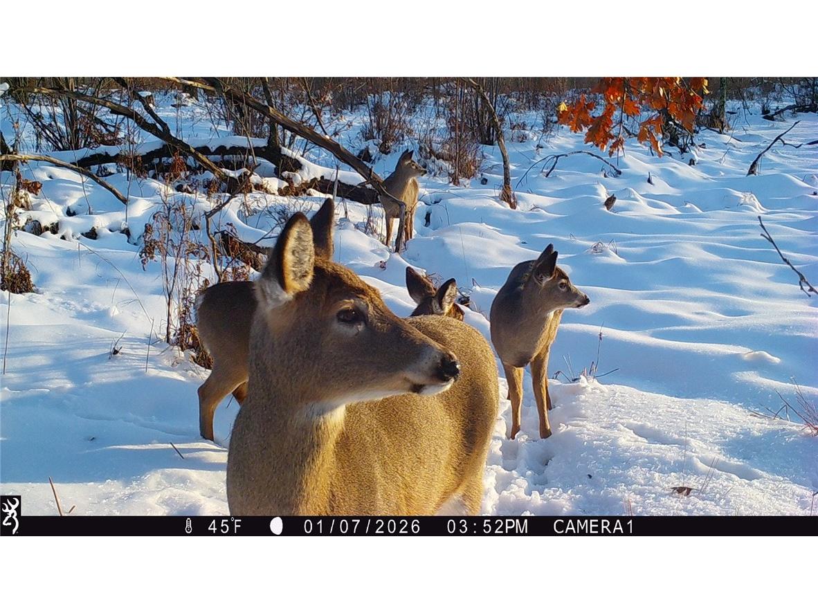 1581 50th Street Turtle Lake WI 54889 1597887 image7