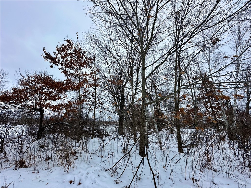 1581 50th Street Turtle Lake WI 54889 1597887 image8