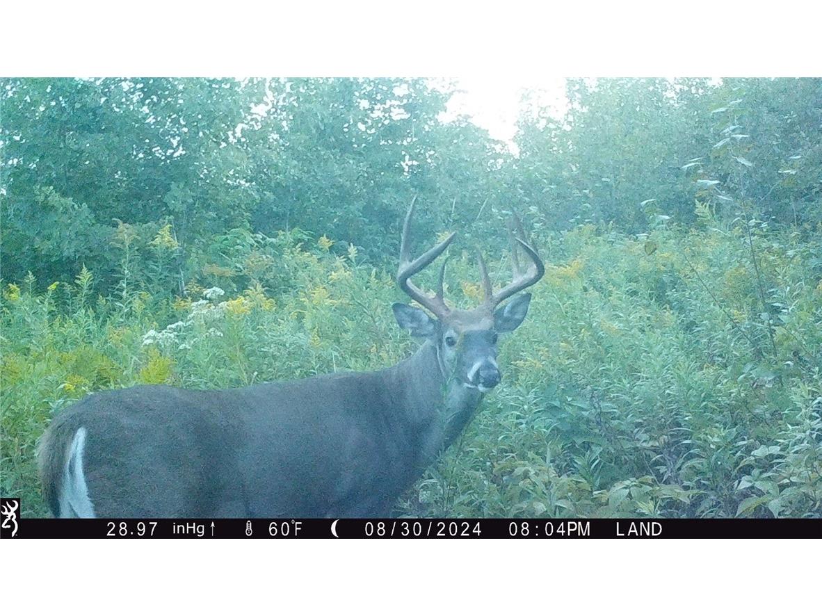 1581 50th Street Turtle Lake WI 54889 1597887 image9