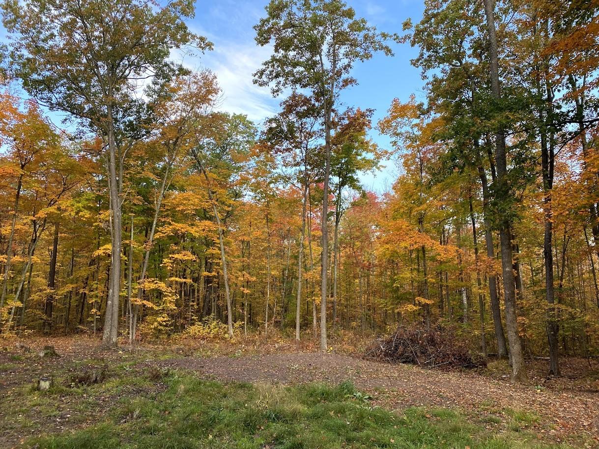 15846 W Pank Road Stone Lake WI 54876 1599821 image1
