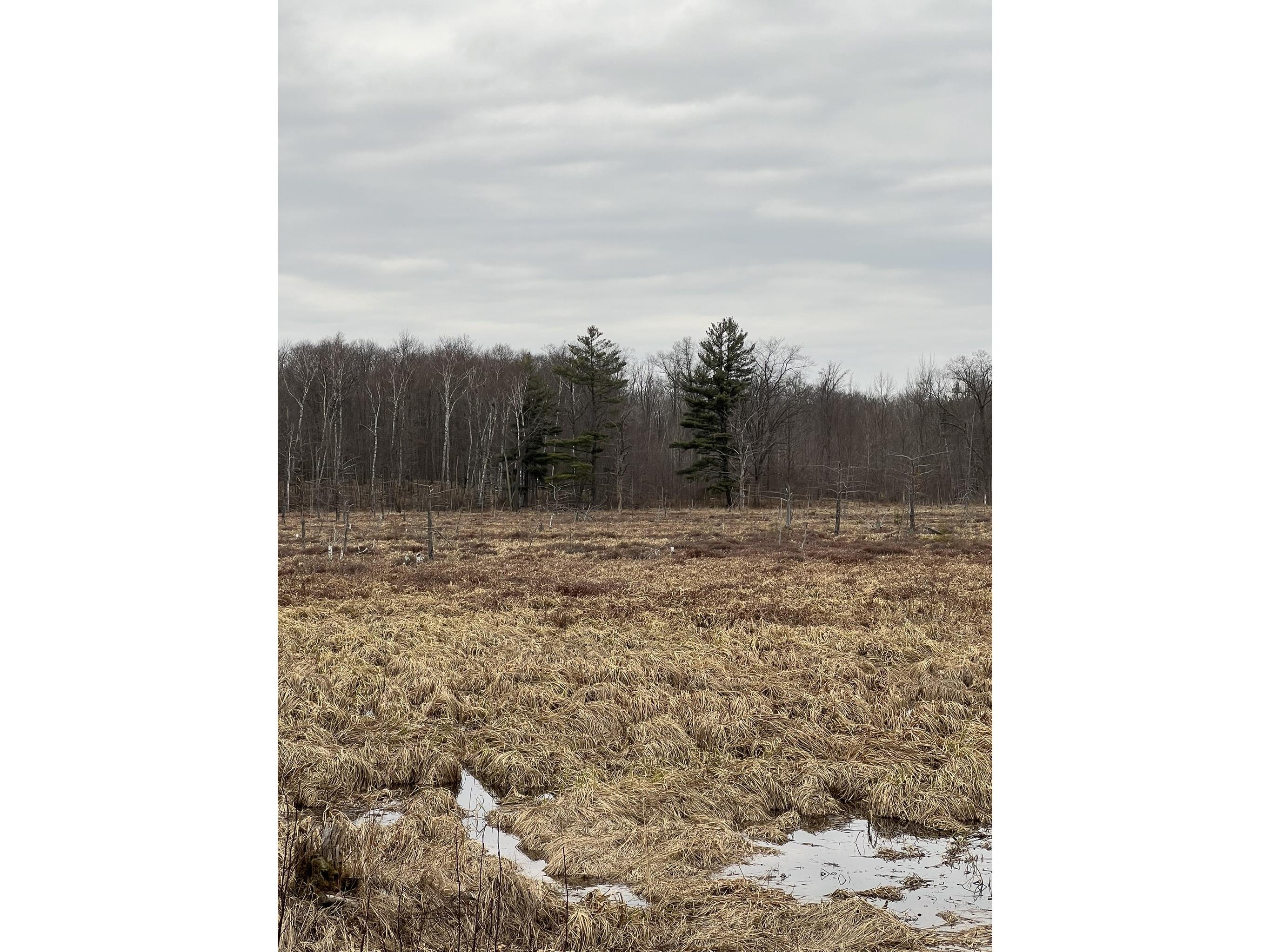 15846 W Pank Road Stone Lake WI 54876 1599821 image10
