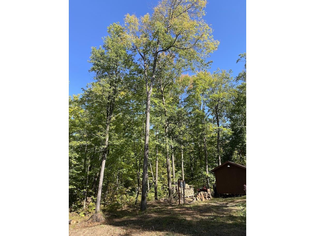 15846 W Pank Road Stone Lake WI 54876 1599821 image11