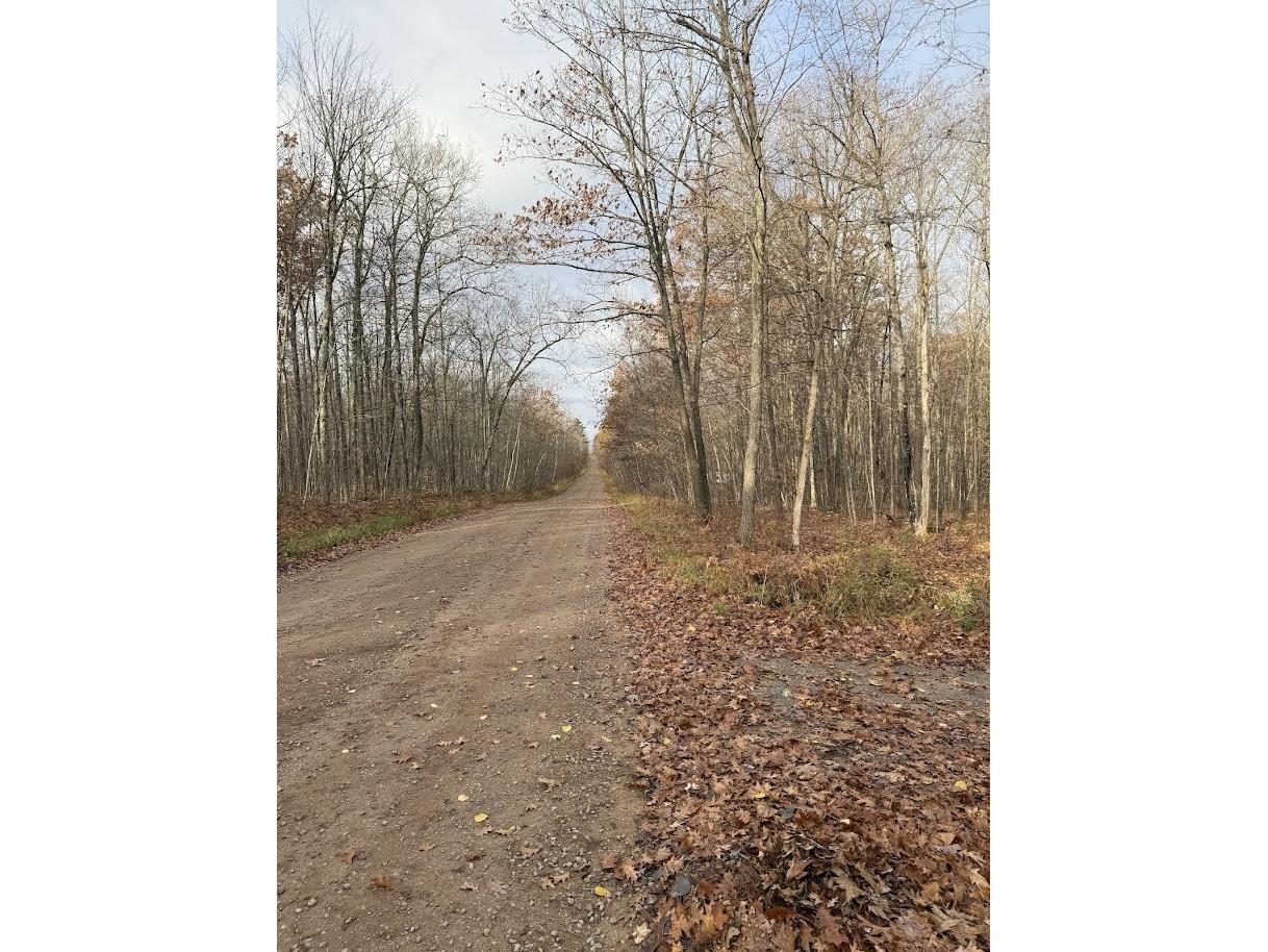 15846 W Pank Road Stone Lake WI 54876 1599821 image17