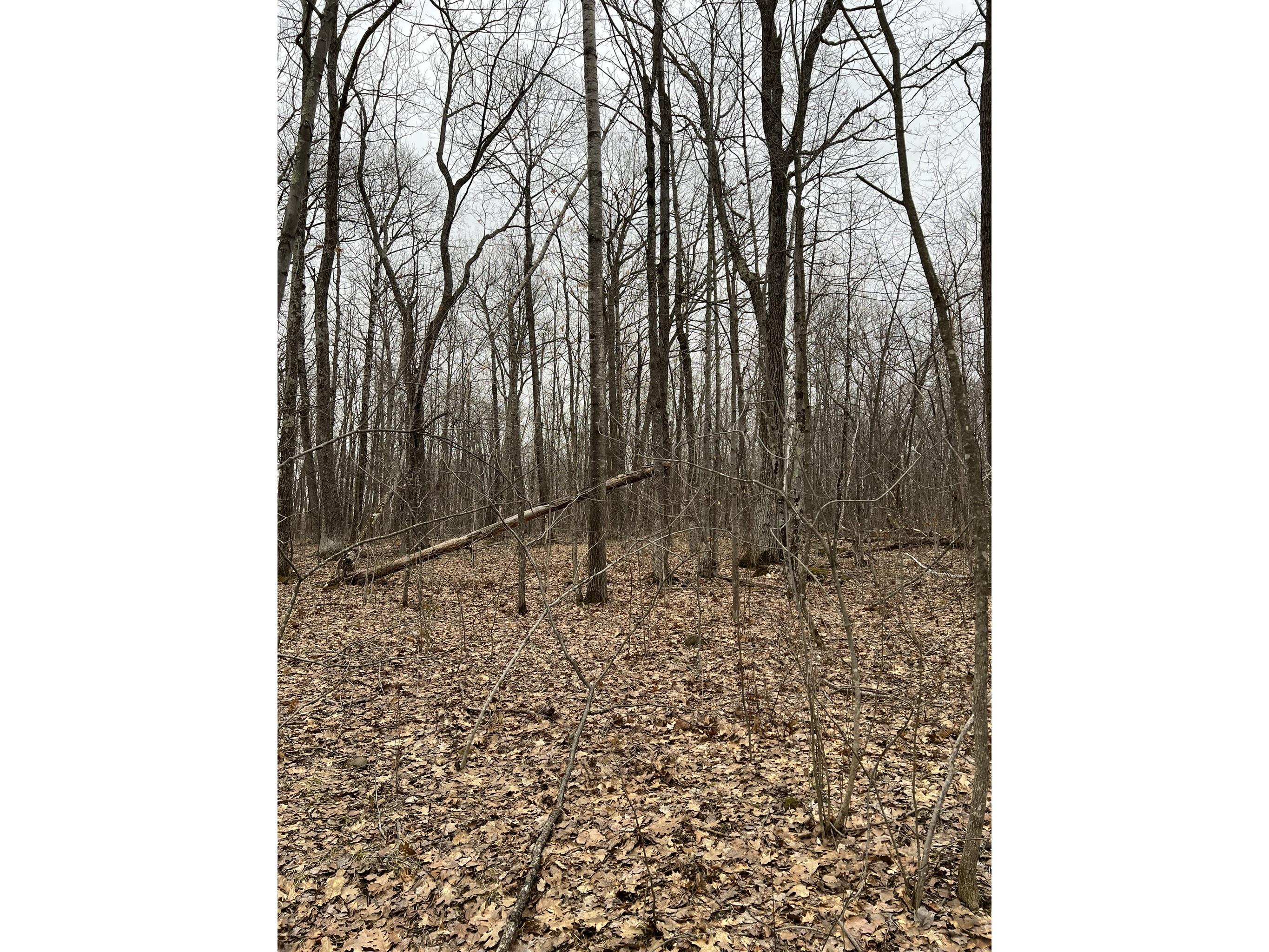 15846 W Pank Road Stone Lake WI 54876 1599821 image6