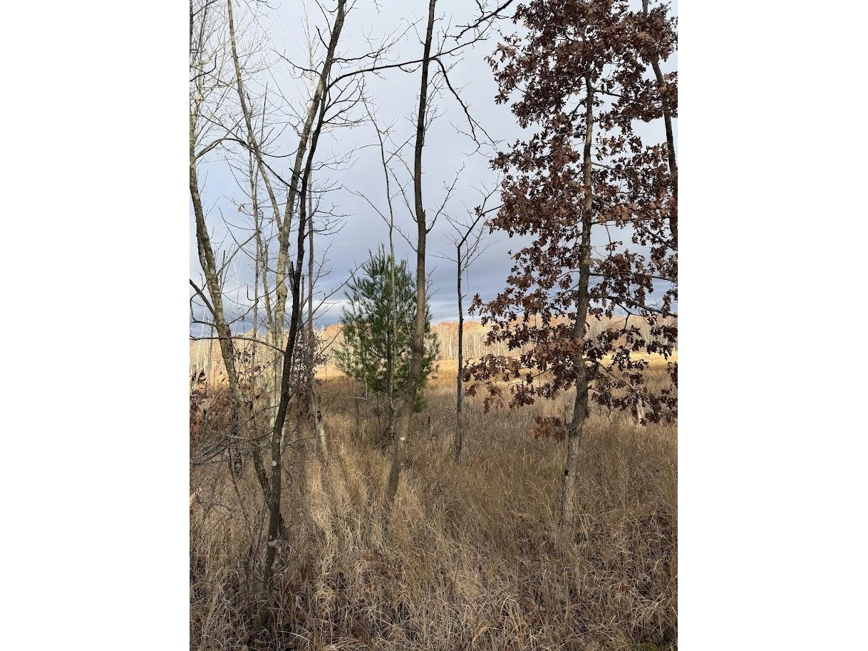 15846 W Pank Road Stone Lake WI 54876 1599821 image7