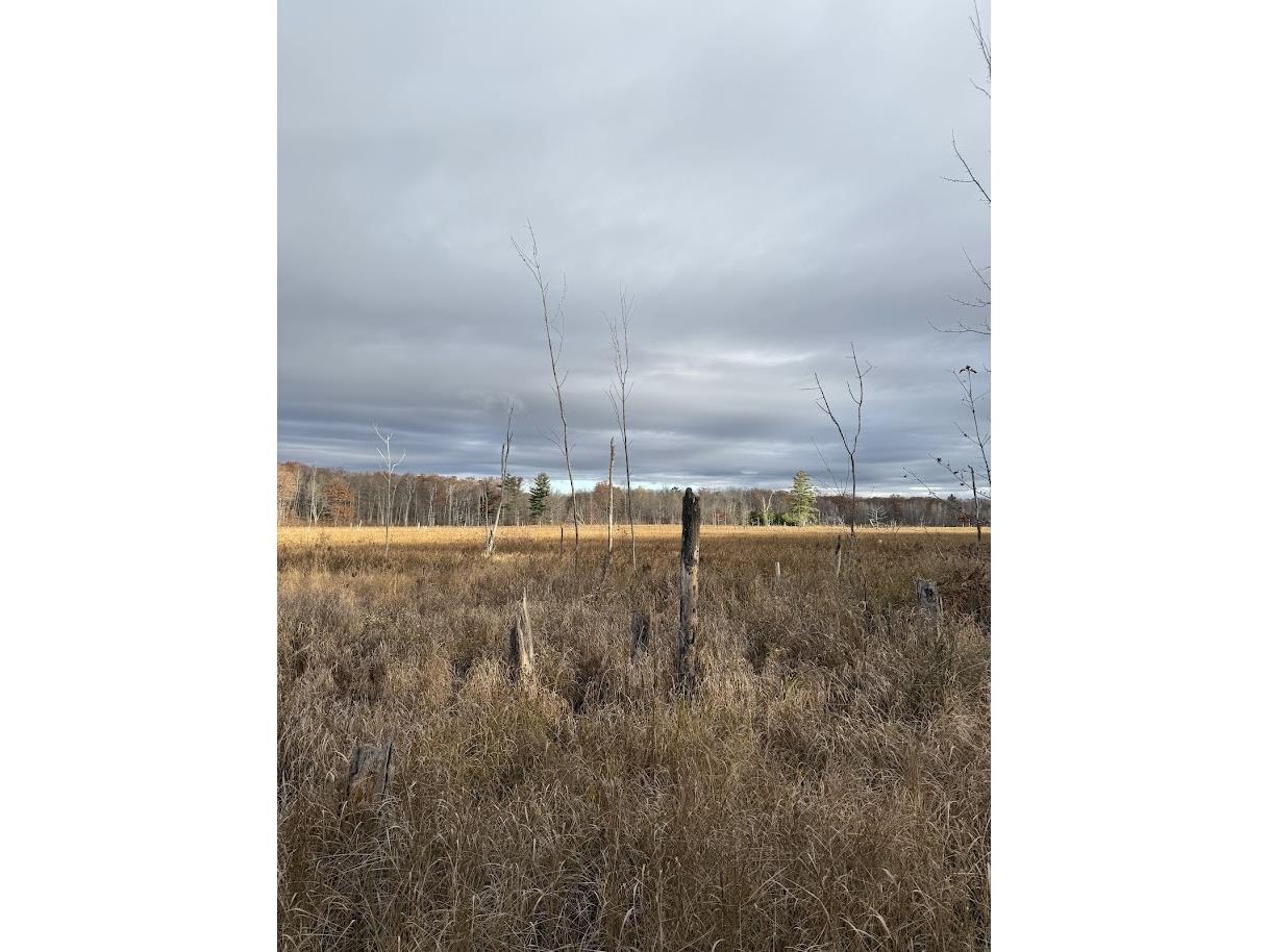 15846 W Pank Road Stone Lake WI 54876 1599821 image8