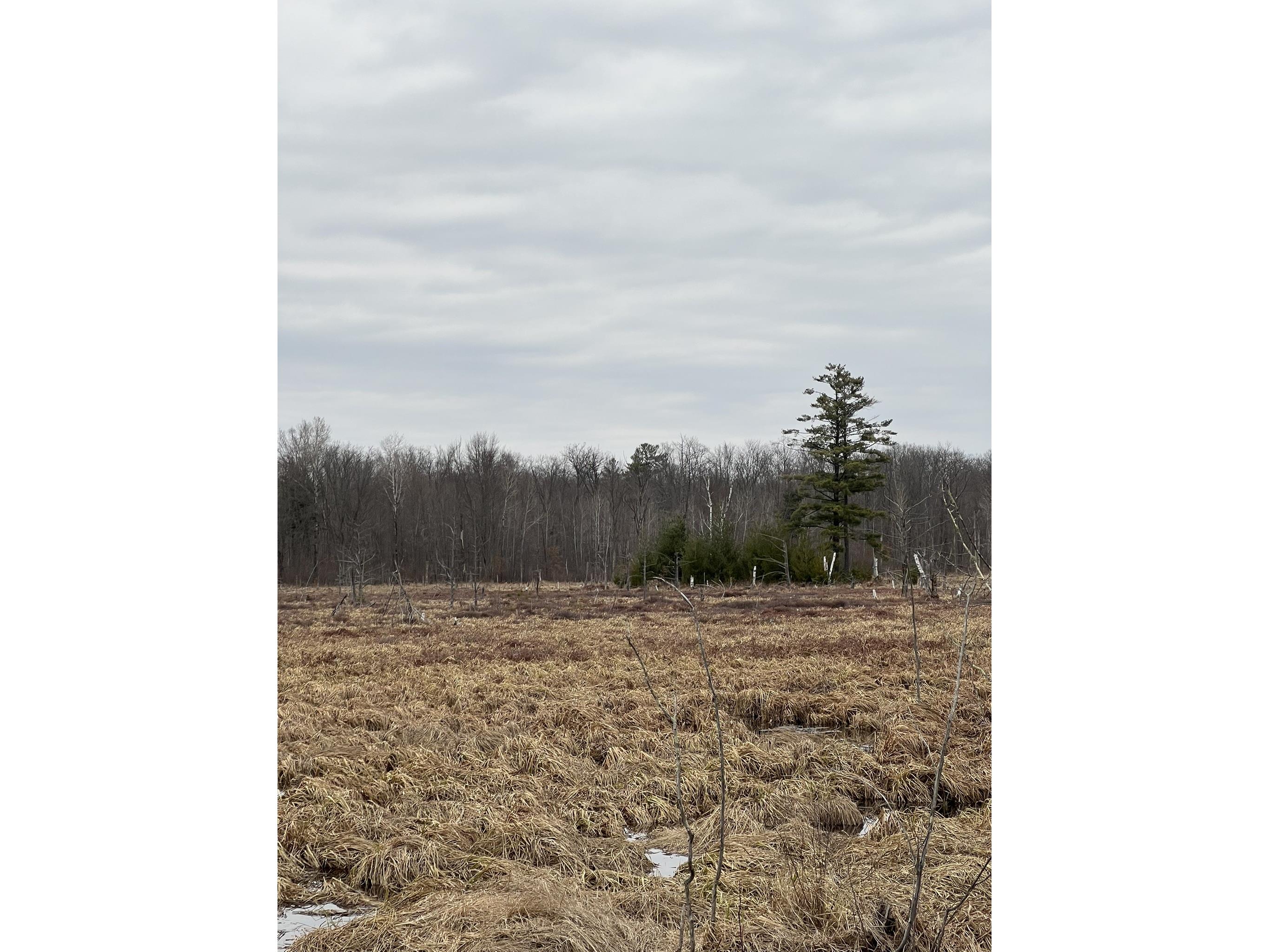 15846 W Pank Road Stone Lake WI 54876 1599821 image9