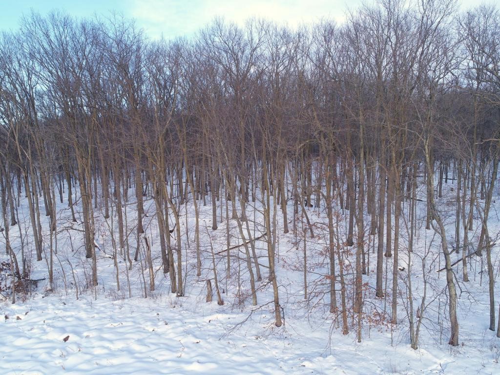 158AC 110th Street Frederic WI 54837 1597557 image1