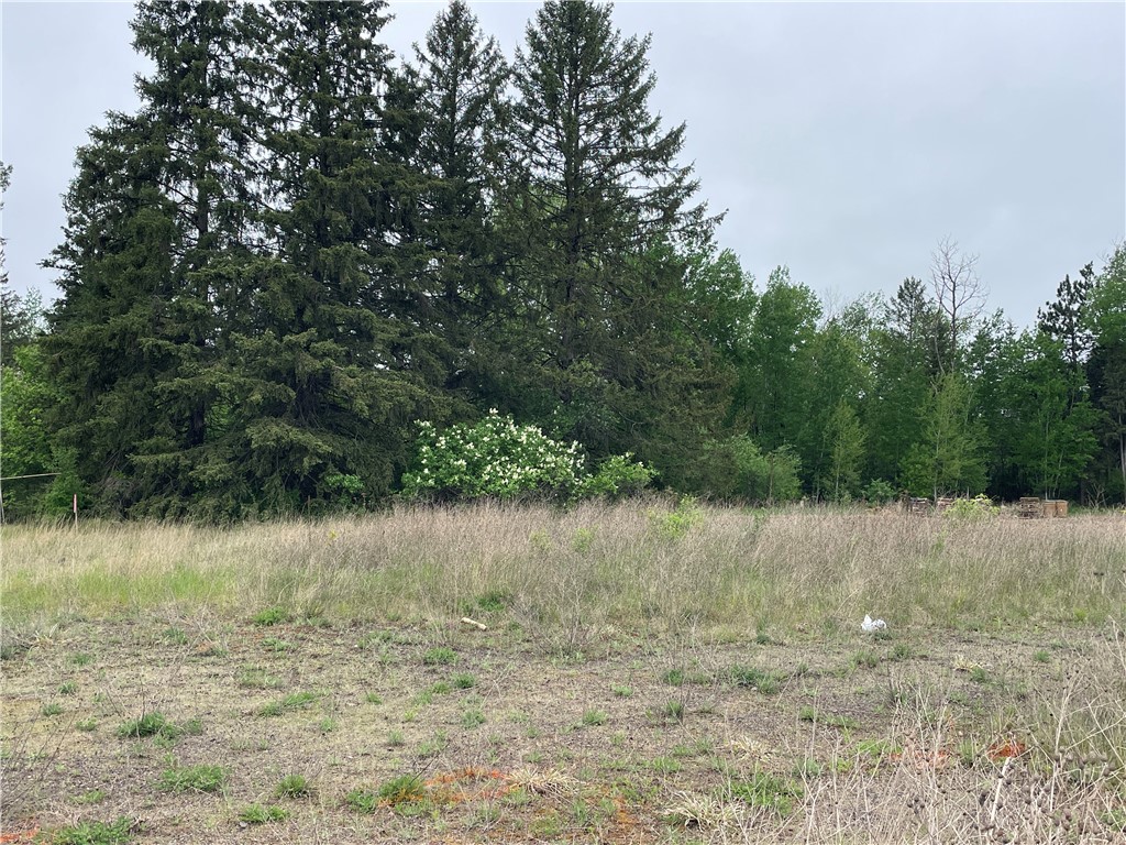 15952 Us Highway 63 Hayward WI 54843 1591742 image2