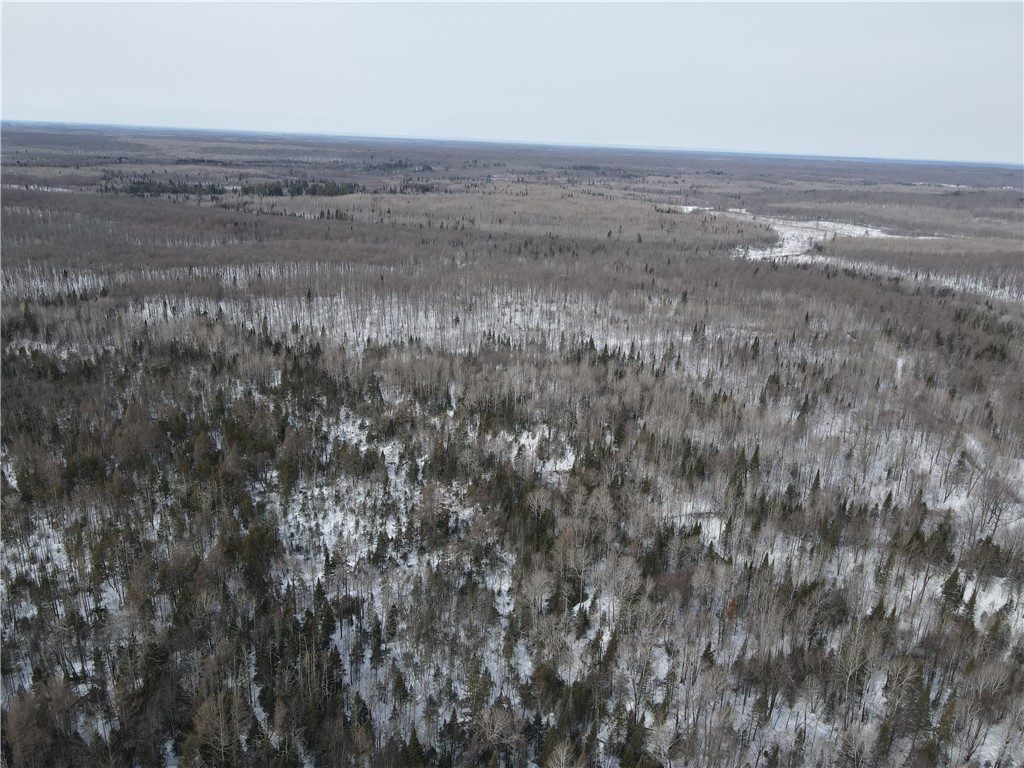 160 Acres Via Easement County M Road Hawkins WI 54530 1571747 image1