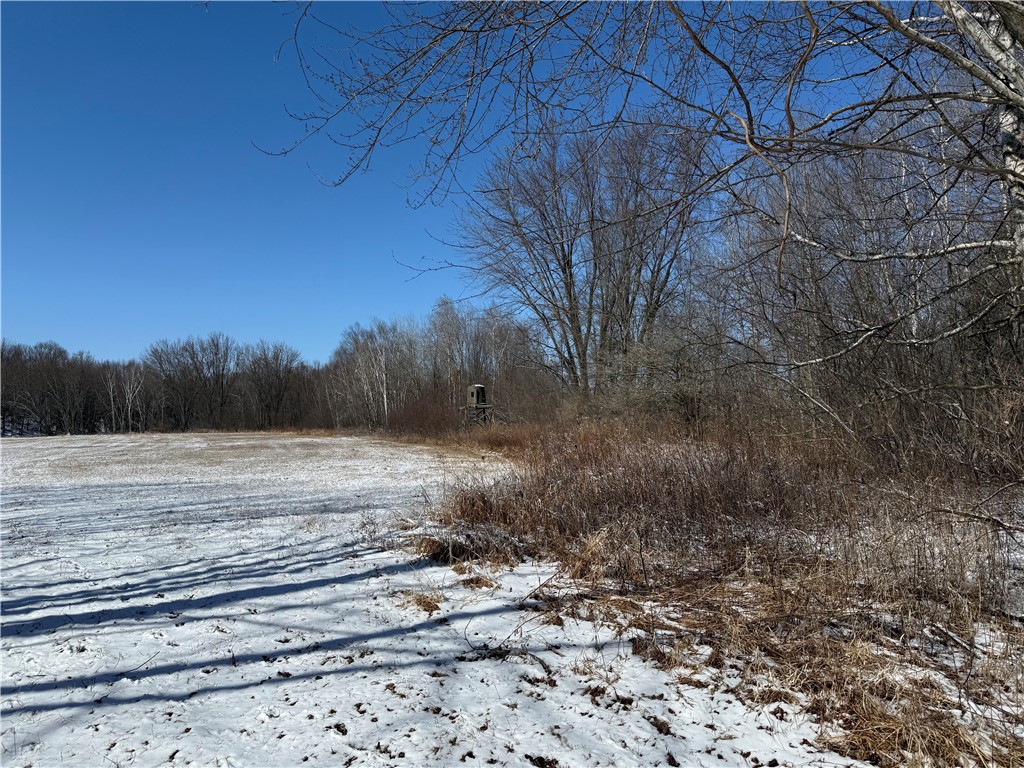 1600 E Main Street Gilman WI 54433 - Yellow 1590060 image20