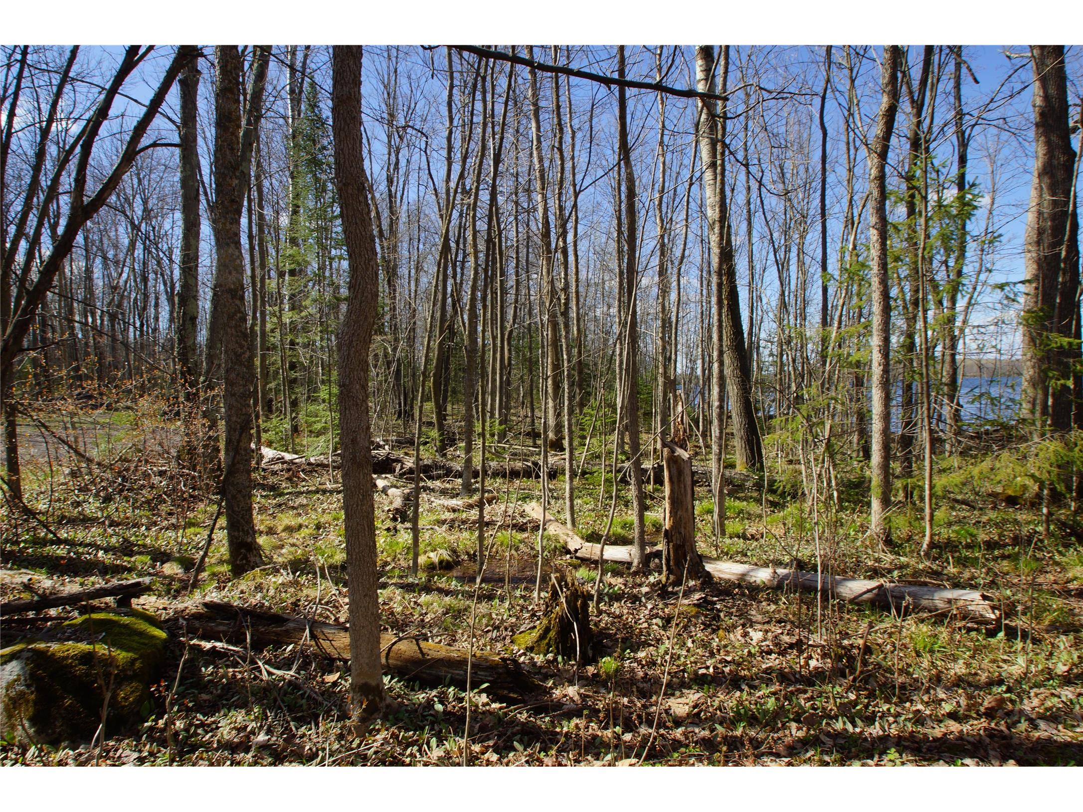 16137 W Hard Rock Circle Hayward WI 54843 - Nelson Lake 1600542 image37