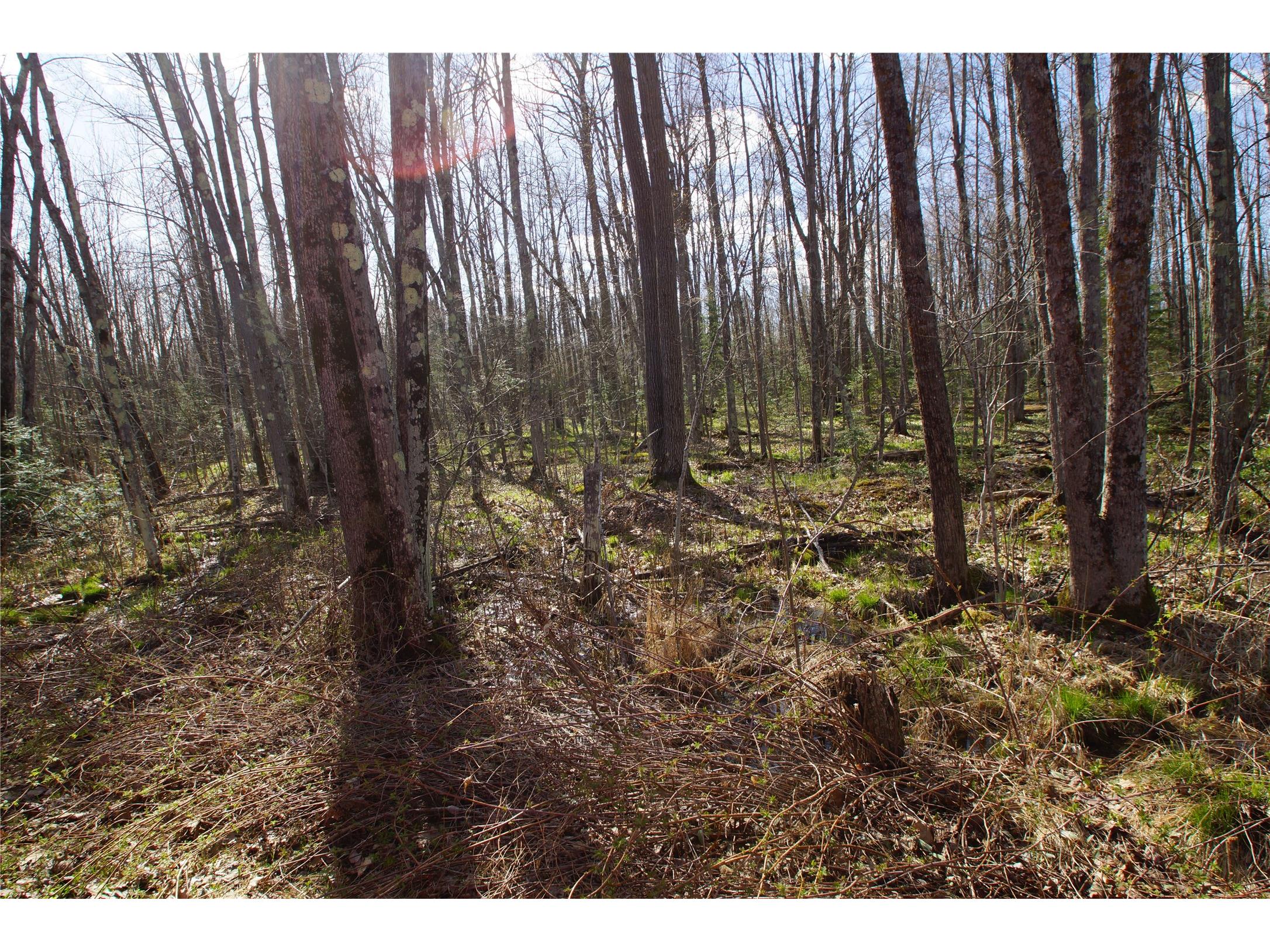 16137 W Hard Rock Circle Hayward WI 54843 - Nelson Lake 1600542 image39