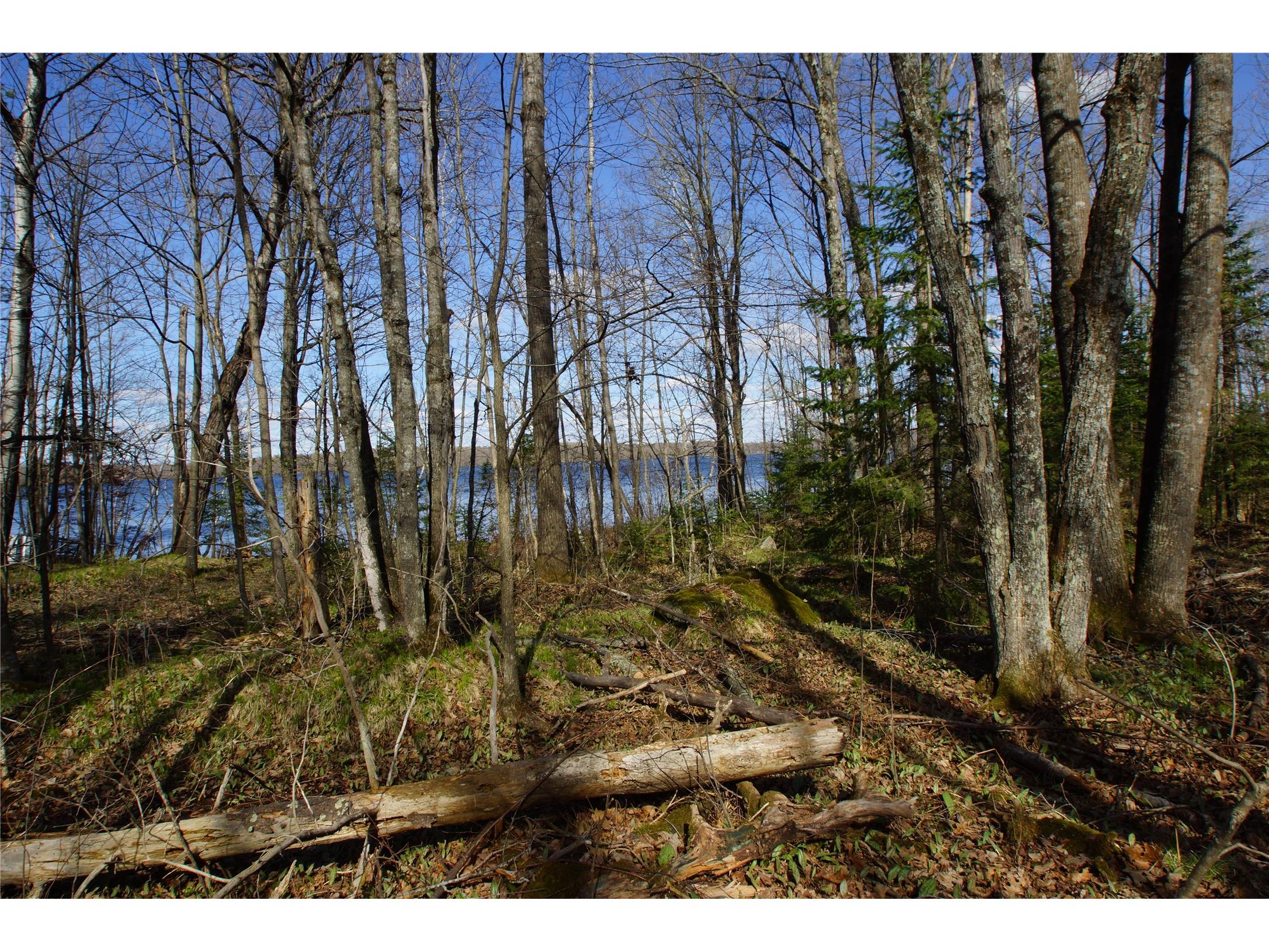 16137 W Hard Rock Circle Hayward WI 54843 - Nelson Lake 1600542 image40