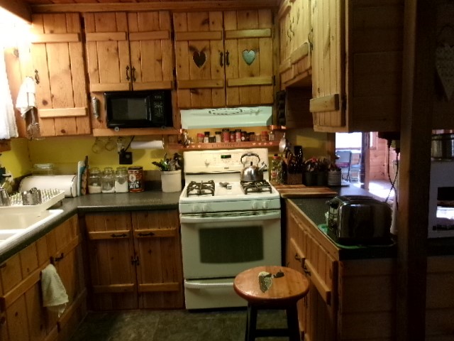 16199 Musky Point Drive Stone Lake WI 54876 - Sissabagama Lake 1600272 image7