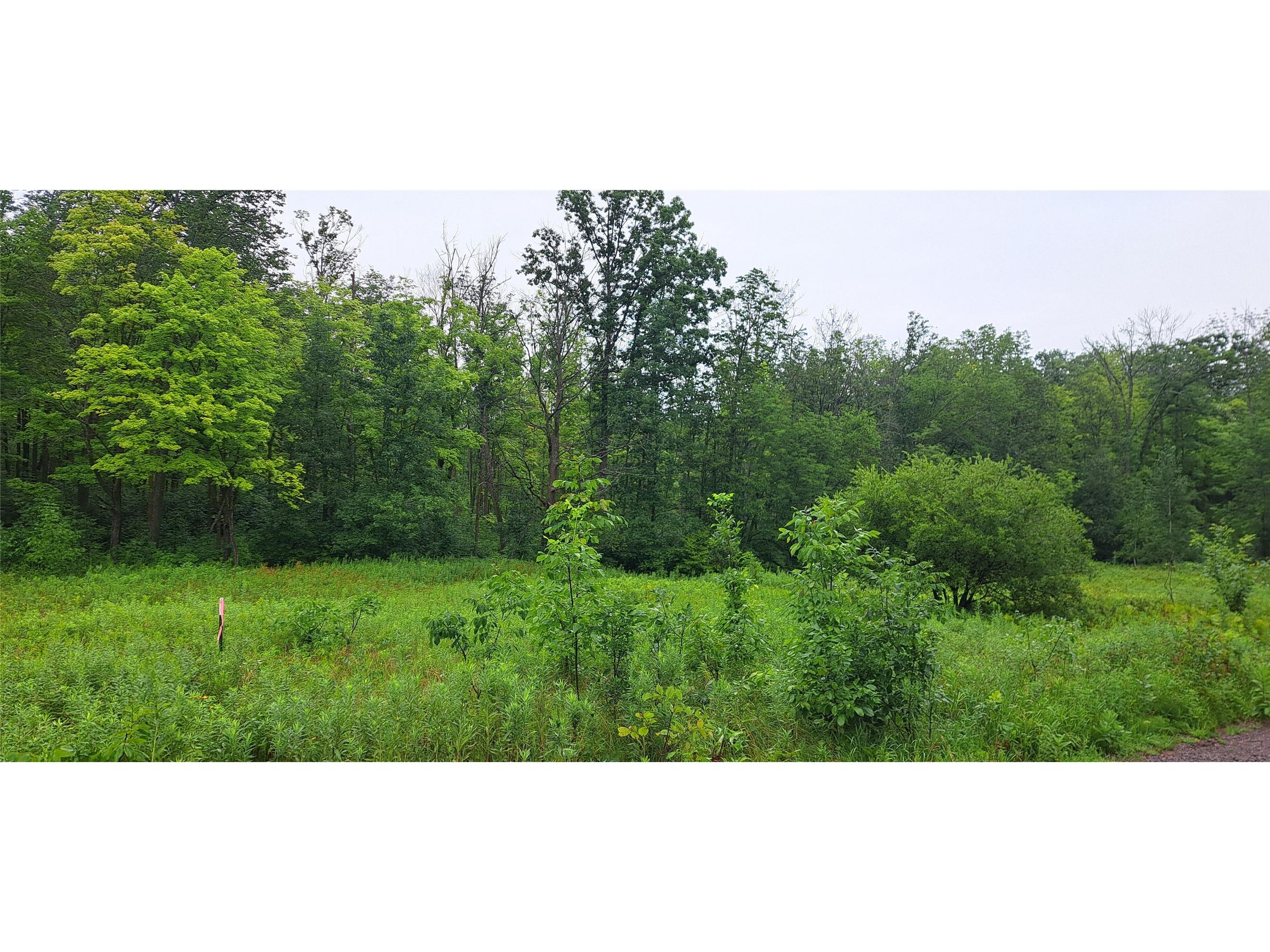 16222W Musky Point Drive Stone Lake WI 54876 1599764 image2
