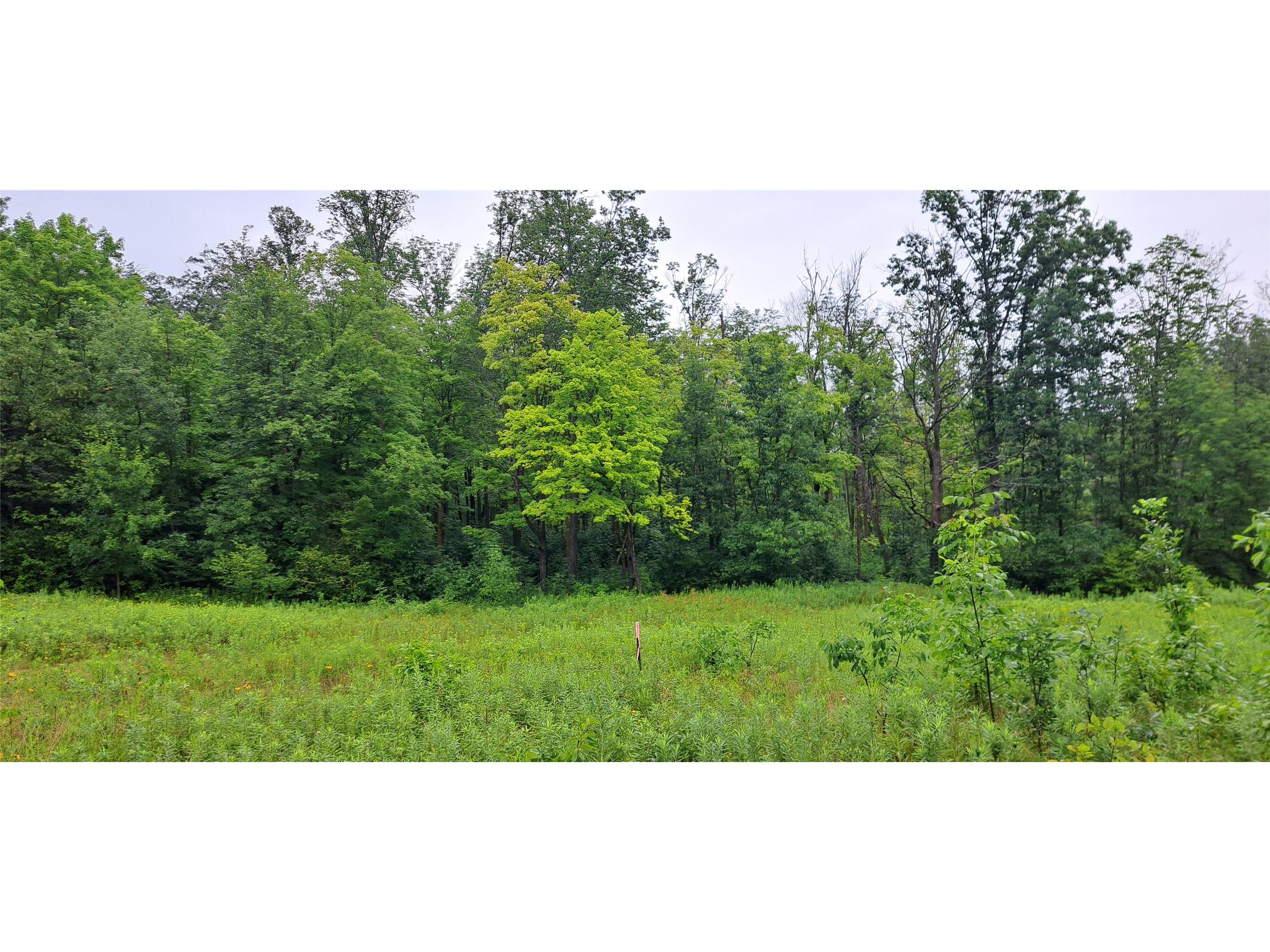 16224W Musky Point Drive Stone Lake WI 54876 1599768 image1