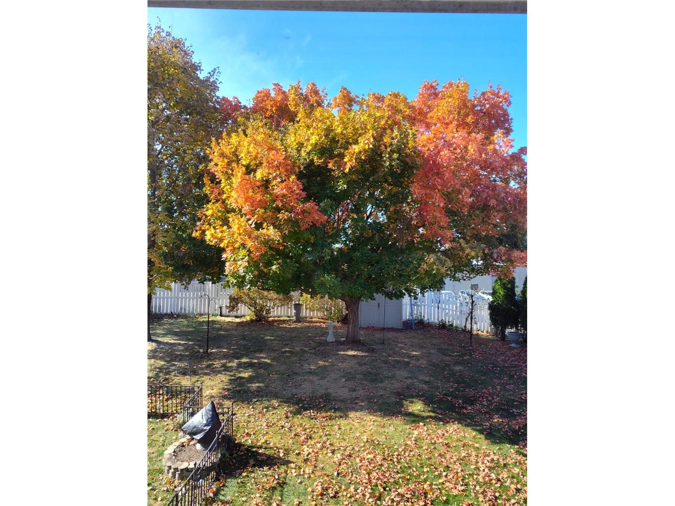 1628 19th Street Eau Claire WI 54703 1598679 image36