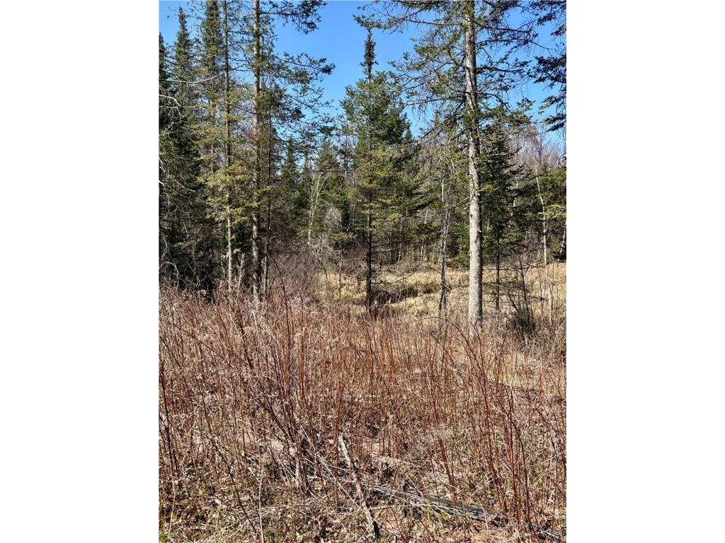 16550 W Ridgerock Road Hayward WI 54843 1591202 image16