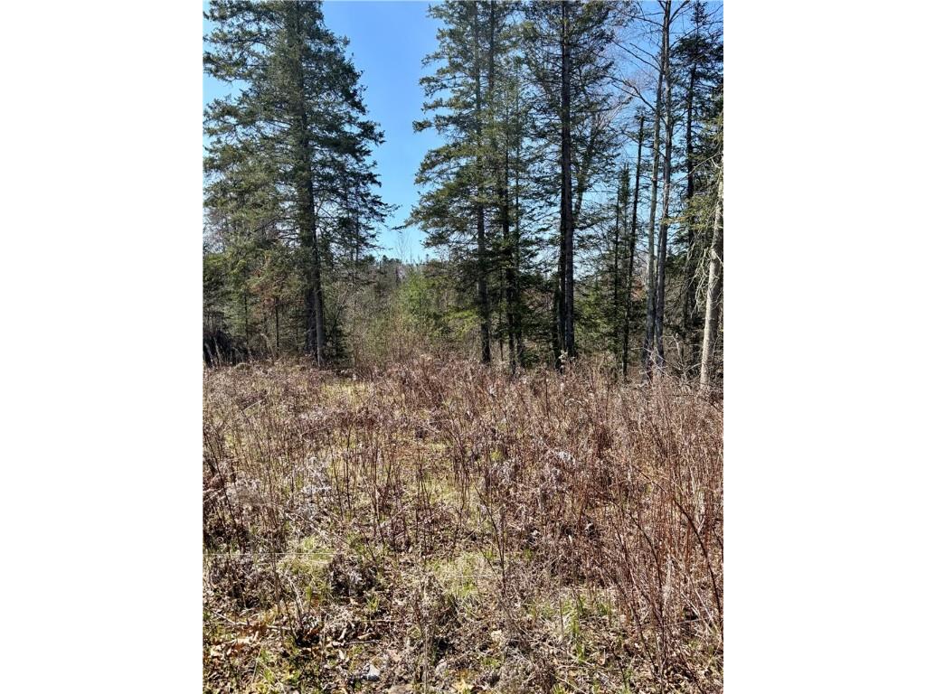 16550 W Ridgerock Road Hayward WI 54843 1591202 image17