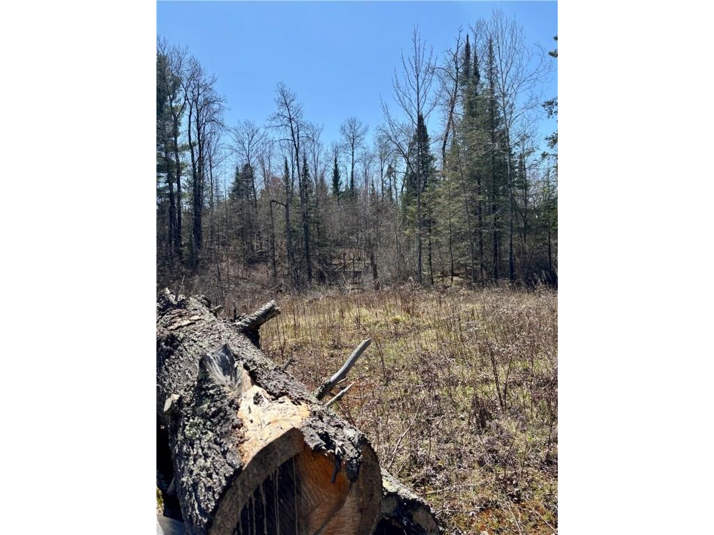 16550 W Ridgerock Road Hayward WI 54843 1591202 image18