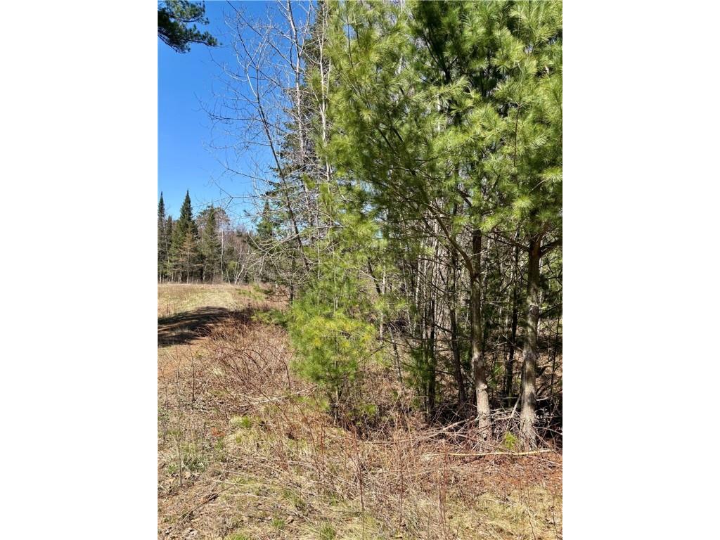 16550 W Ridgerock Road Hayward WI 54843 1591202 image4