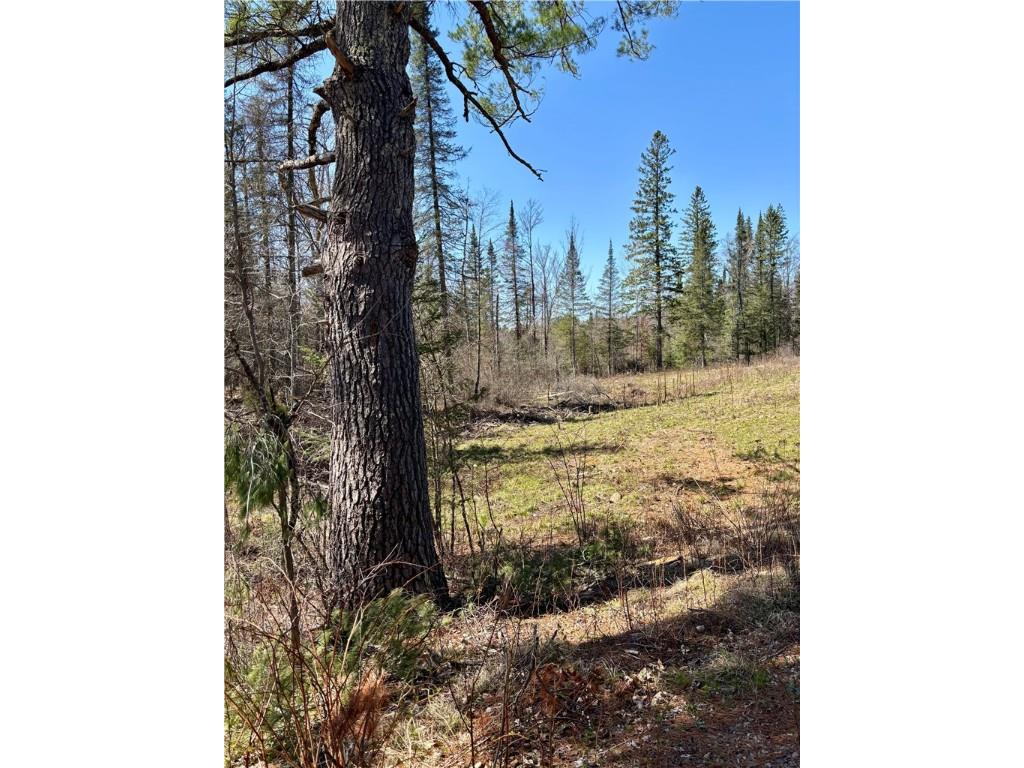 16550 W Ridgerock Road Hayward WI 54843 1591202 image5