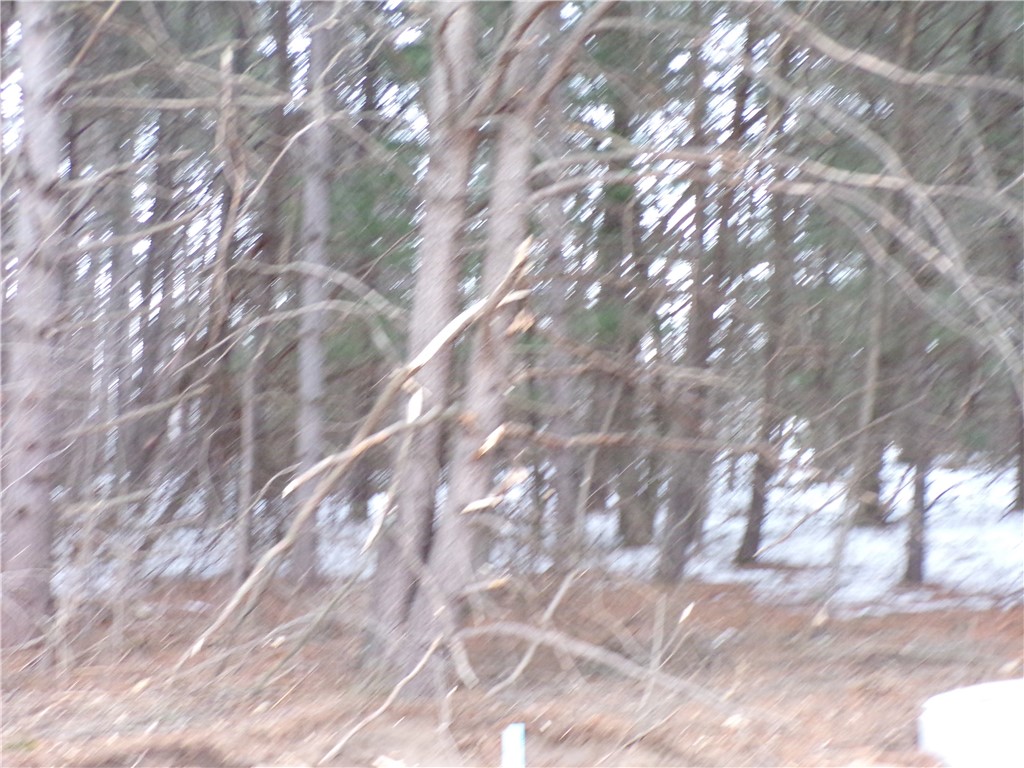 1656 Red Pine Court Eau Claire WI 54701 1571174 image2