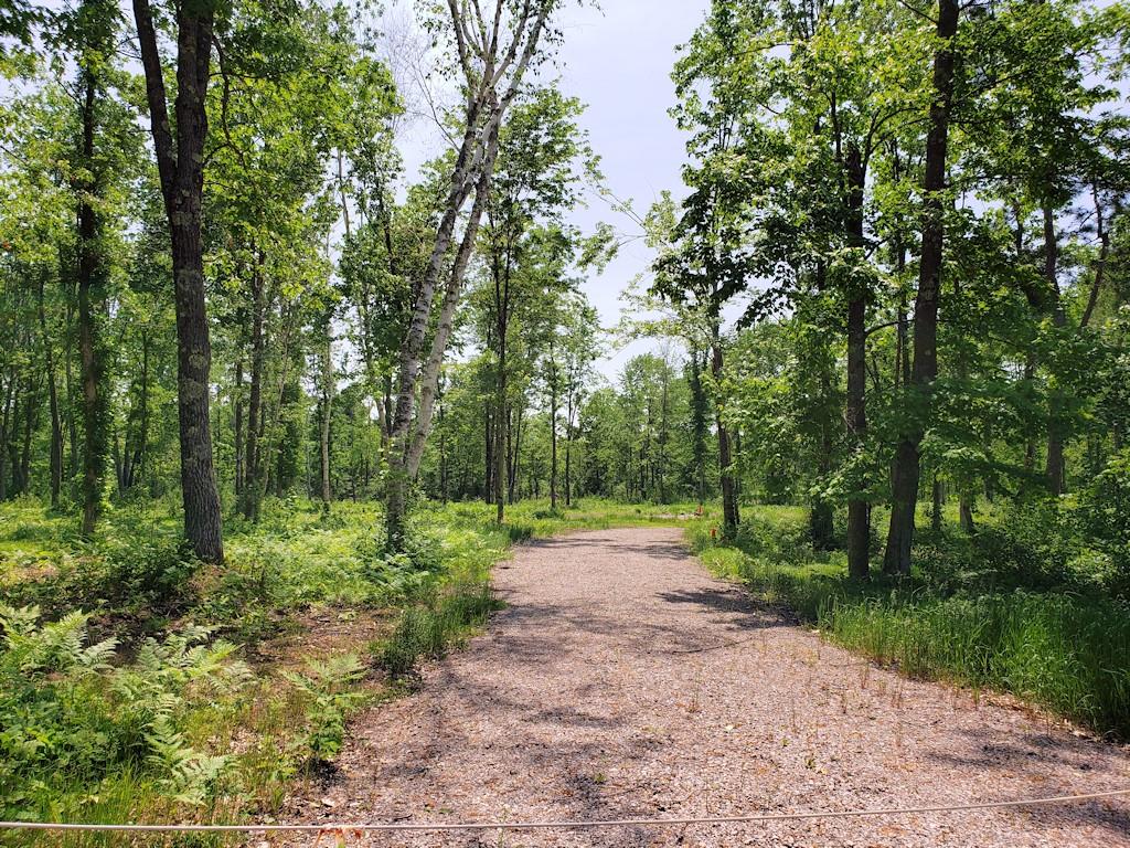 16637 W Rainbow Road Hayward WI 54843 1573944 image1