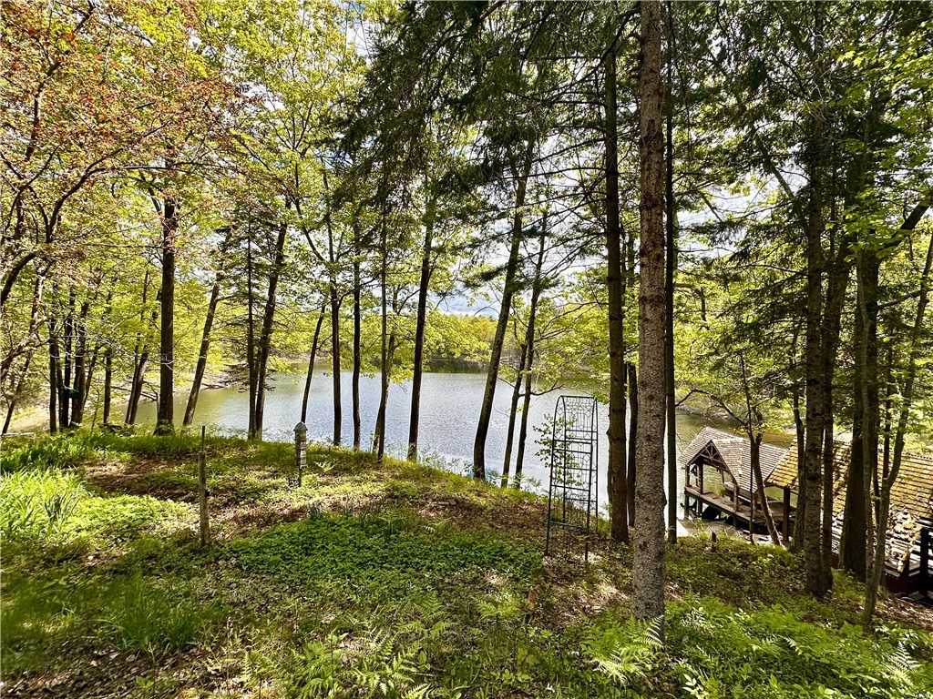 16680W Raining Tree Road Stone Lake WI 54876 1591869 image5