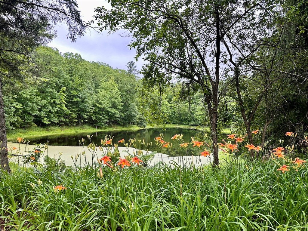 16680W Raining Tree Road Stone Lake WI 54876 1591869 image7