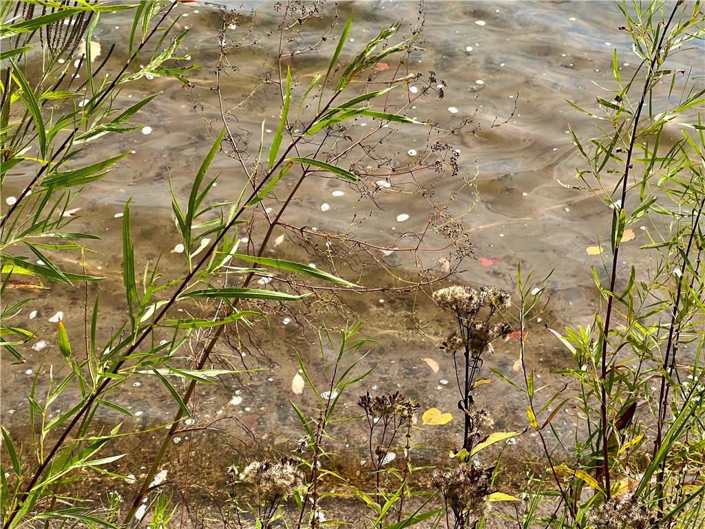 1675 29 1/4 Avenue #5 Rice Lake WI 54868 - Bear 1596053 image37