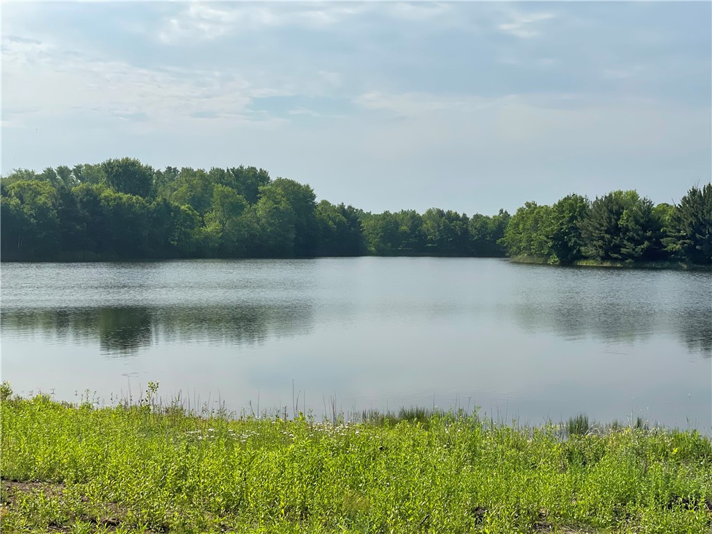 16765 50th Avenue Chippewa Falls WI 54729 - Cindy 1592589 image1