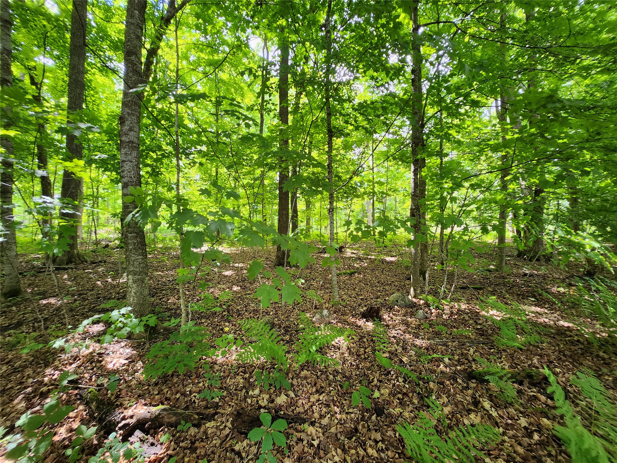 16799 W Maple Terrace Drive Birchwood WI 54817 1603045 image11