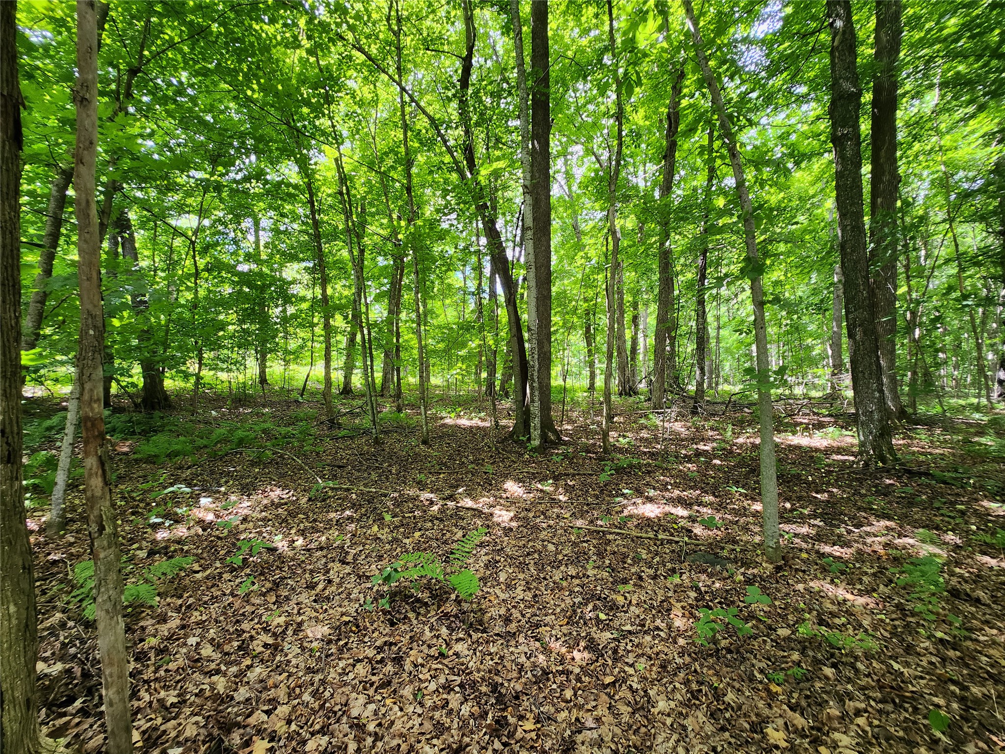 16799 W Maple Terrace Drive Birchwood WI 54817 1603045 image12