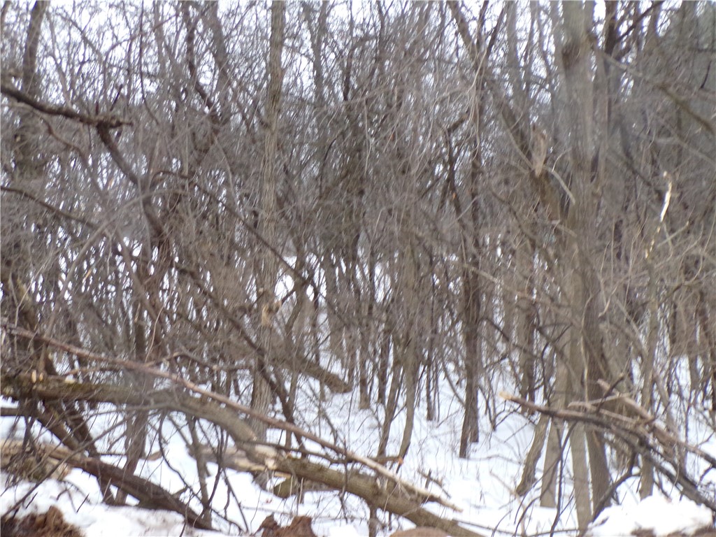 1680 Red Pine Court Eau Claire WI 54701 1571157 image2